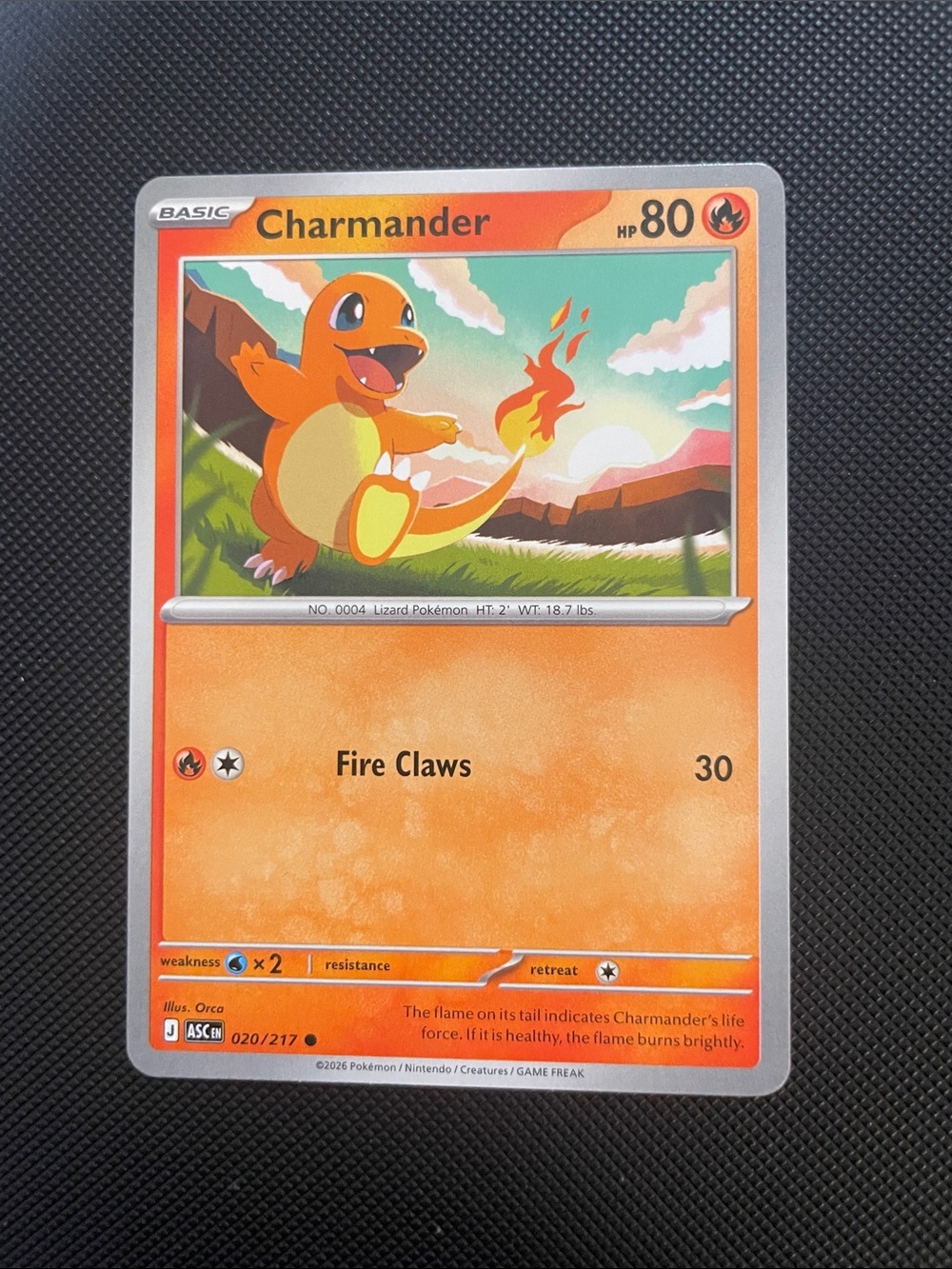 Pokemon Charmander